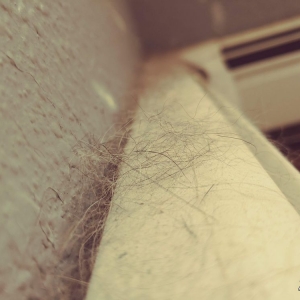 Photo of Hummingbird Cleaning Services