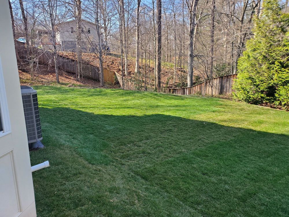 Photo of Amada Landscaping
