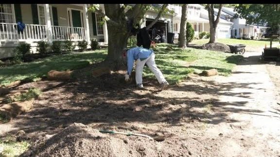 Photo of Amada Landscaping