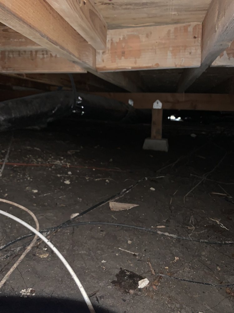 Photo of Mold Masters