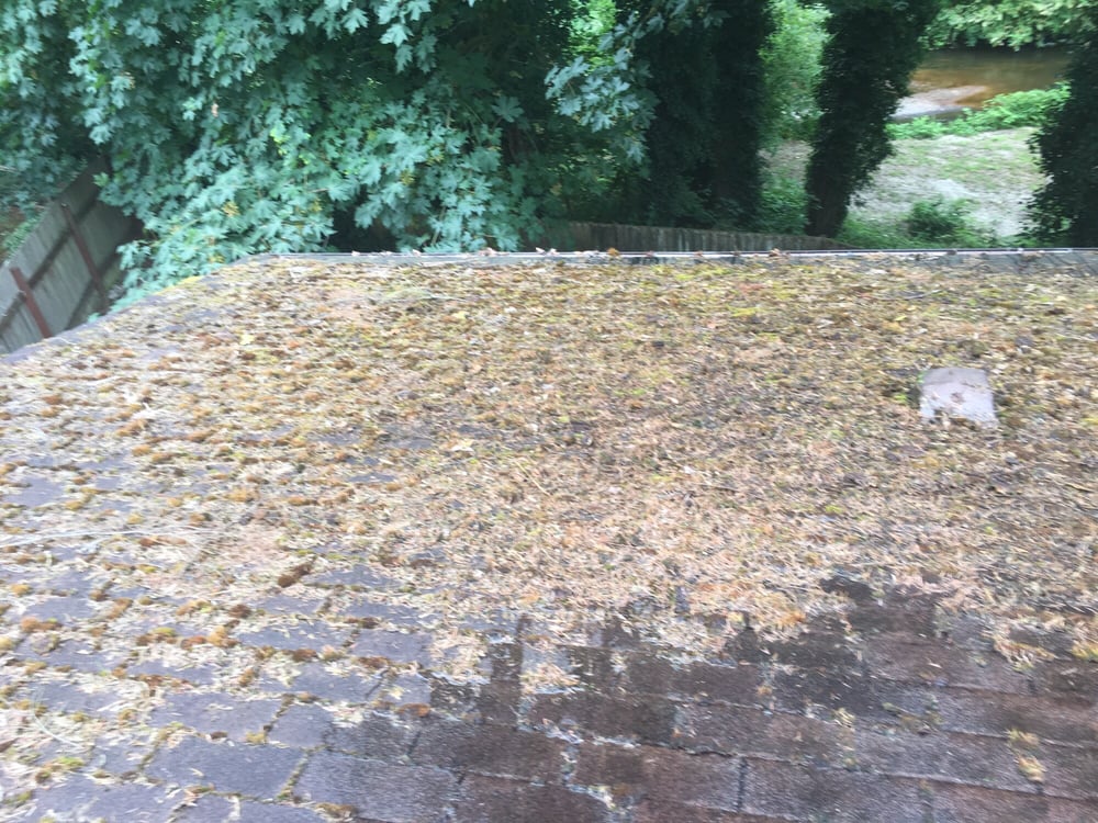 Photo of Sky Power Wash
