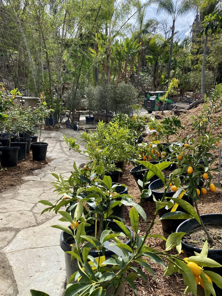 Photo of Standard Design Group Nurseries