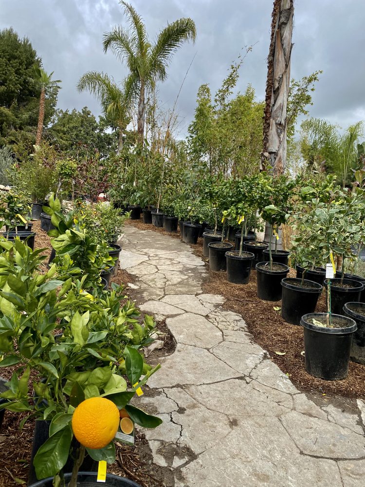 Photo of Standard Design Group Nurseries