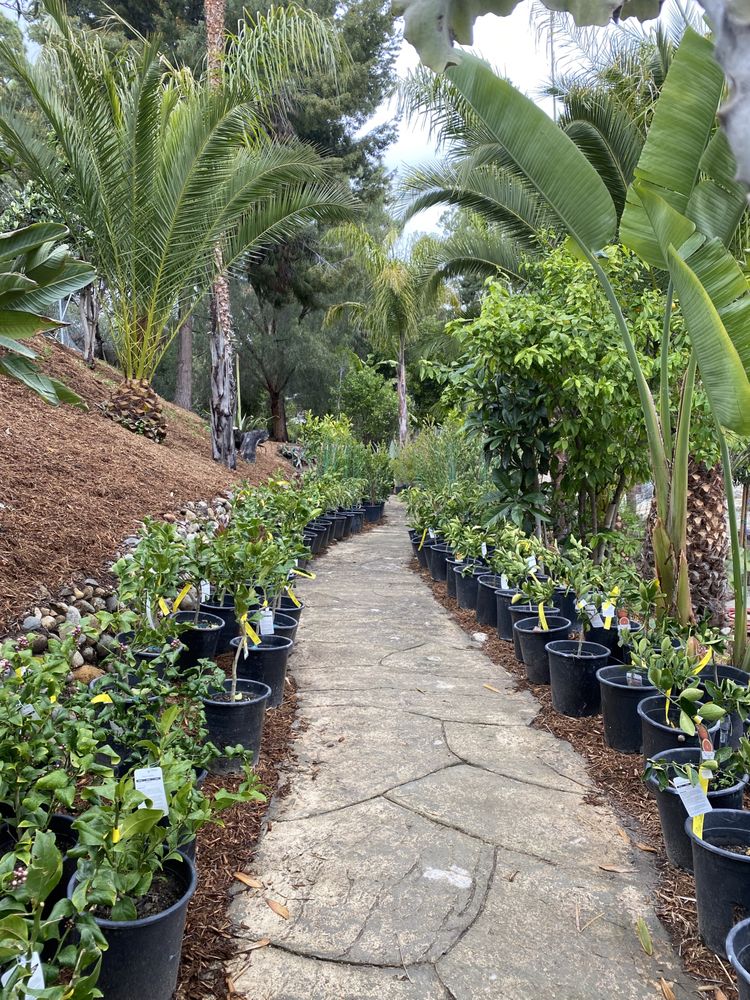 Photo of Standard Design Group Nurseries