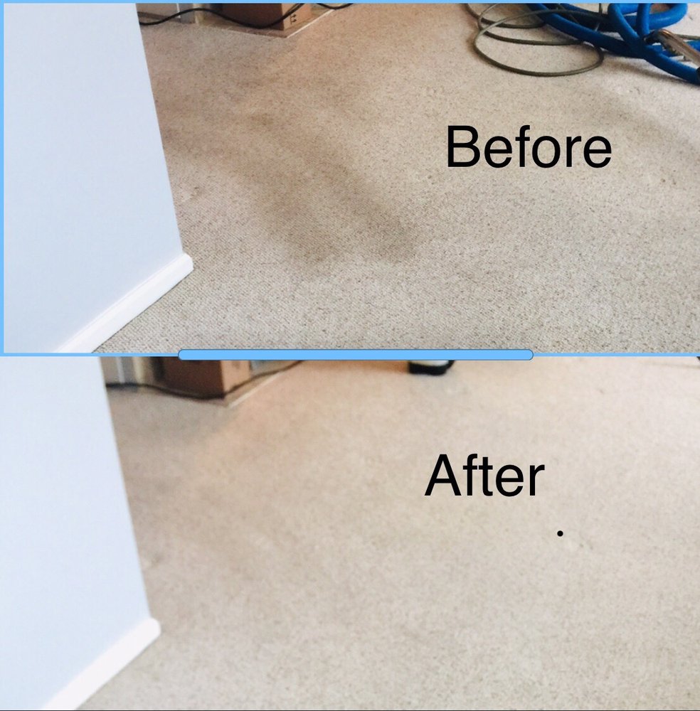 Photo of Eco Carpet Pro