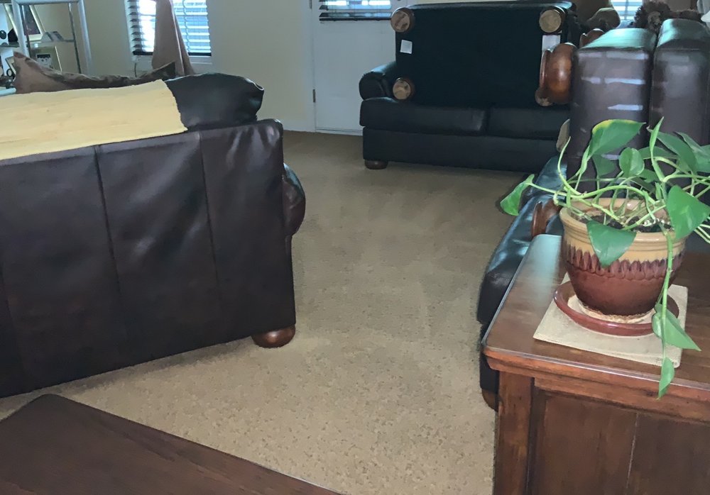 Photo of Eco Carpet Pro