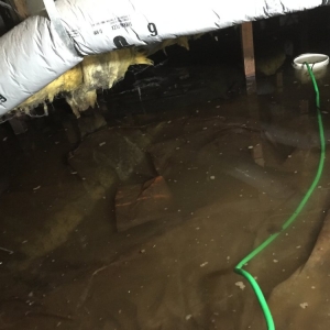 Photo of Waters Gone