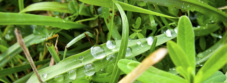 Photo of City Rain