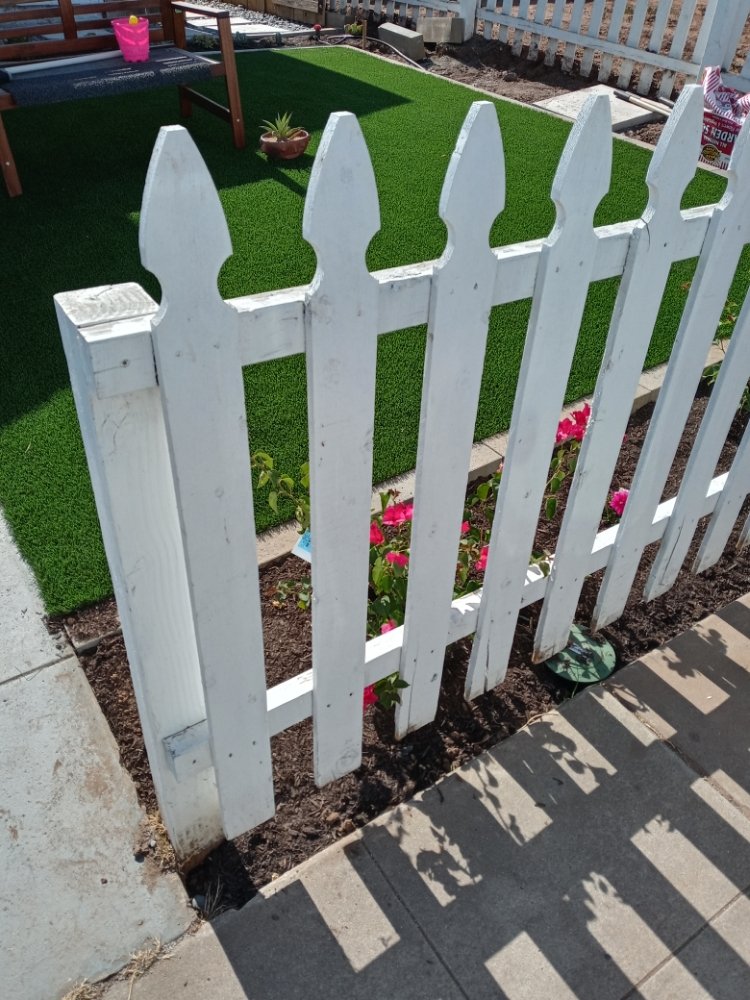 Photo of Oscar Garden