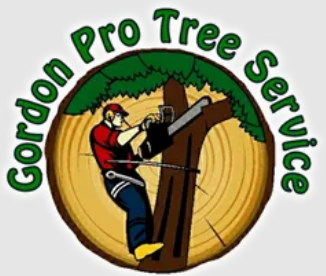 Photo of Gordon Pro Tree Service