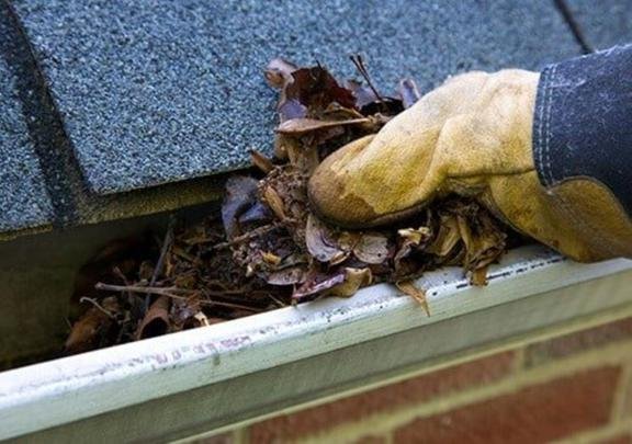 Photo of Mr Gutter