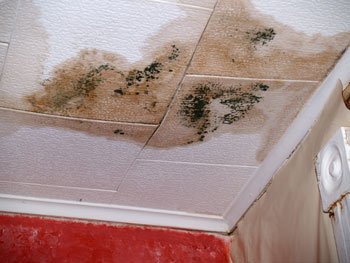 Photo of 24hr Fire and Flood