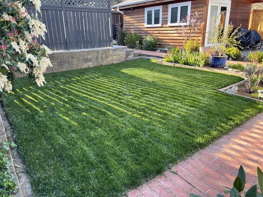 Photo of Economy Landscaping