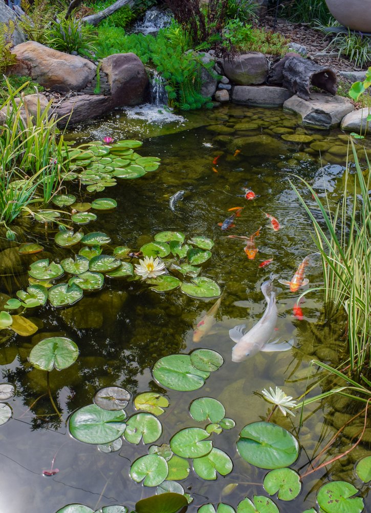 Photo of Splash Supply Company