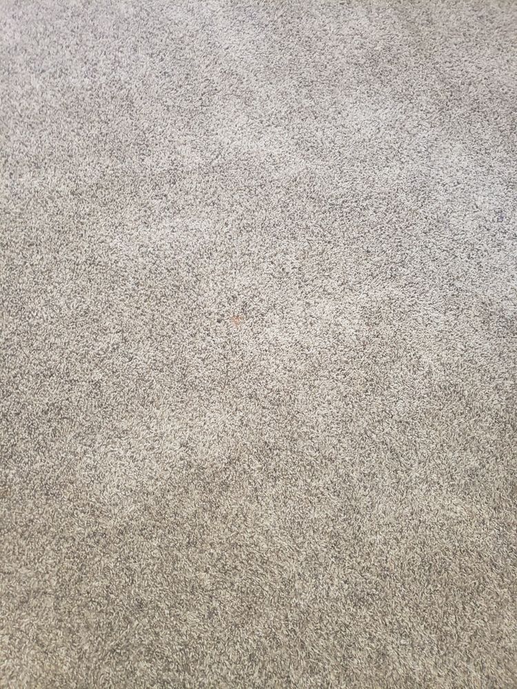 Photo of James Carpet Cleaning