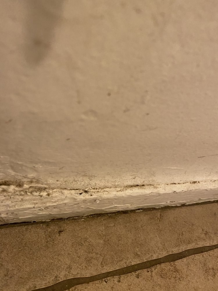 Photo of Green and Ivy Cleaning Services