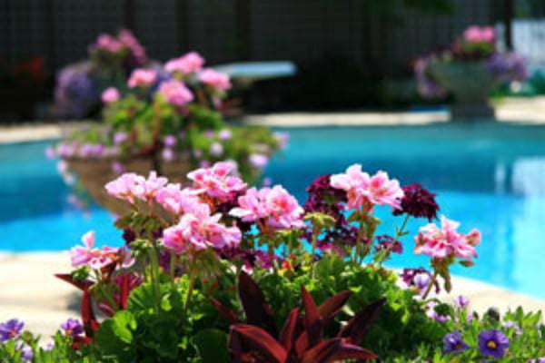 Photo of Guaranteed Pool Service