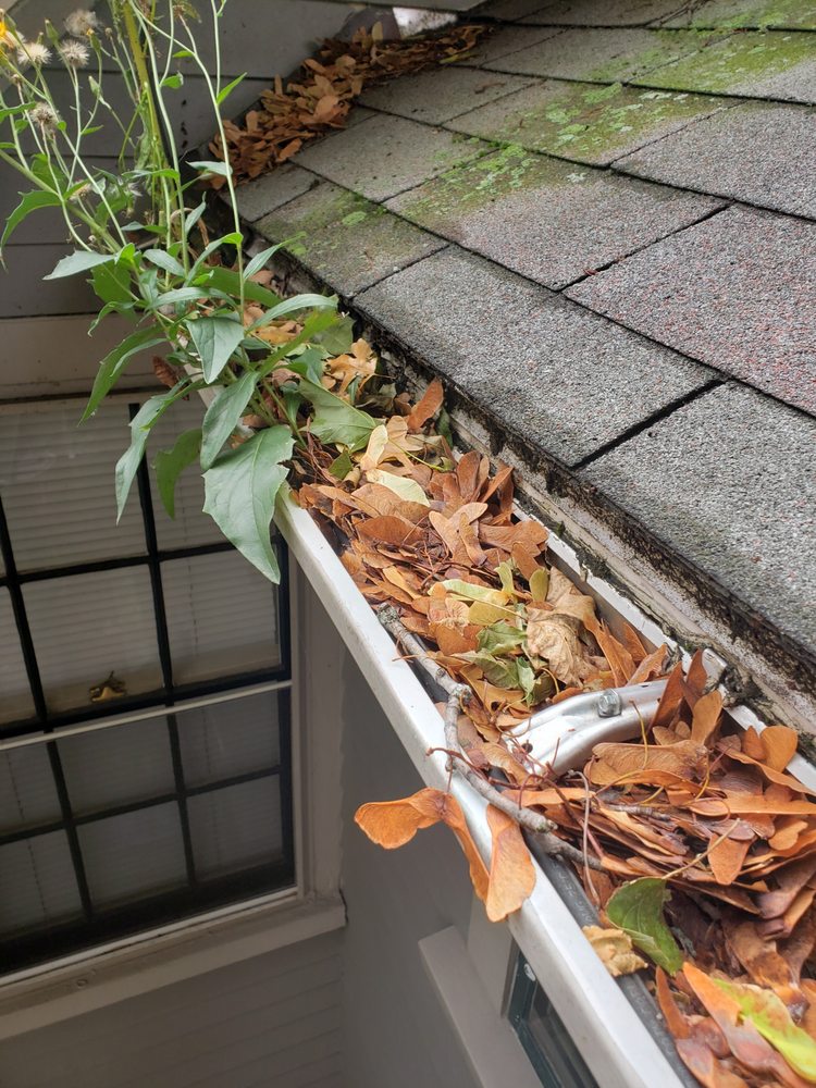 Photo of Boston Gutter Cleaning