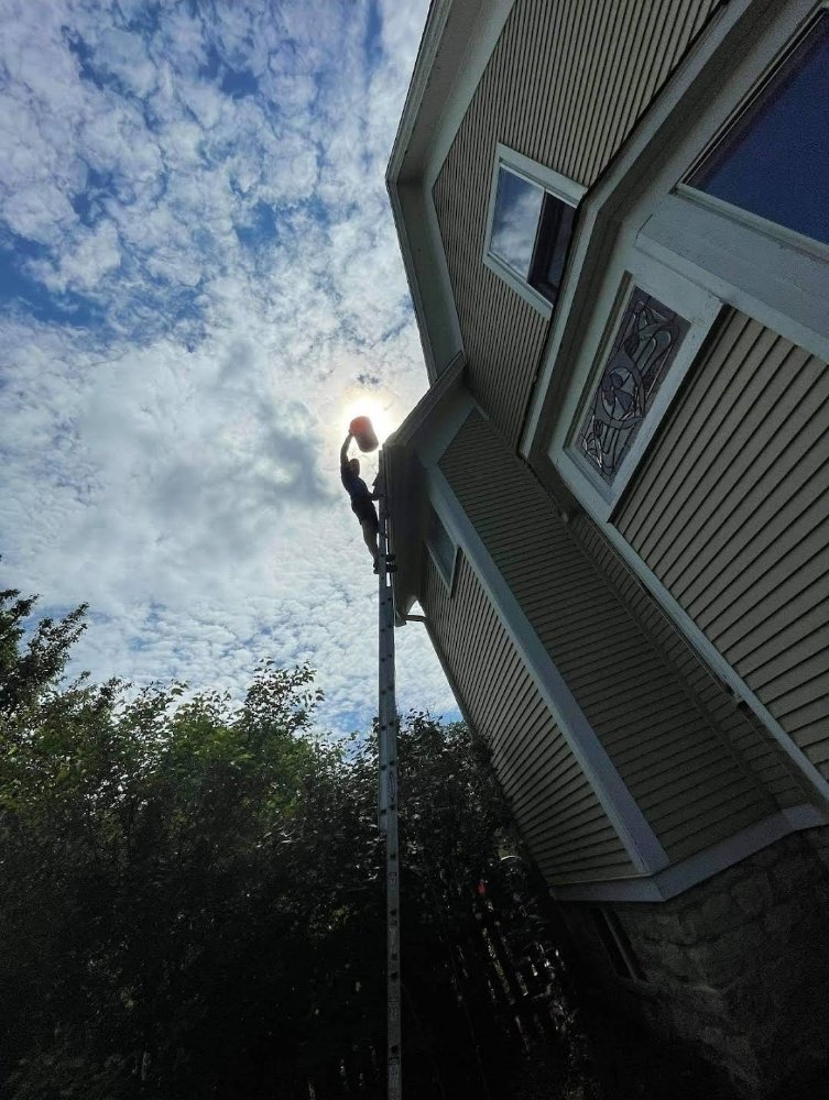 Photo of Ernest Windows