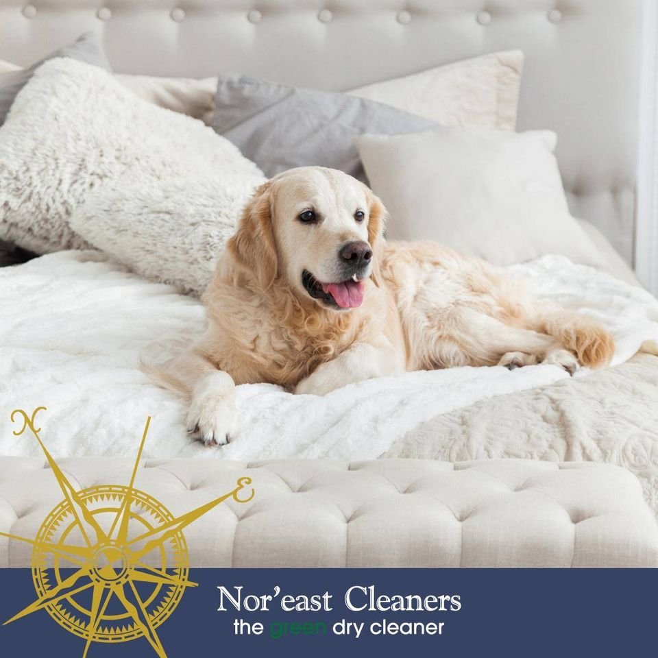 Photo of Nor'East Cleaners