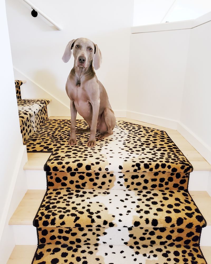 Photo of Vogel's Carpet & Flooring