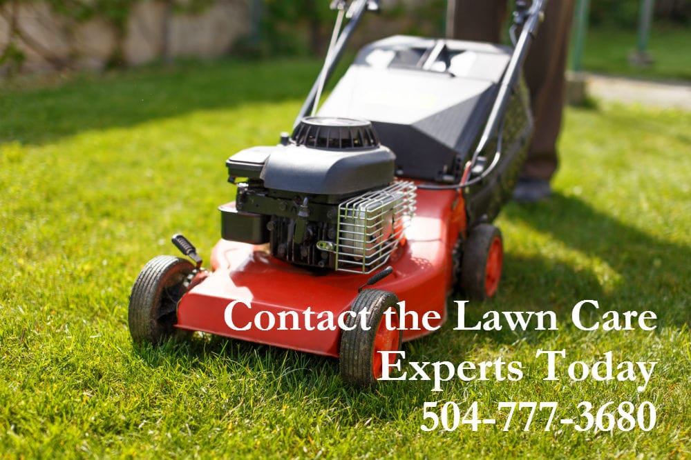 Photo of New Orleans Landscaping