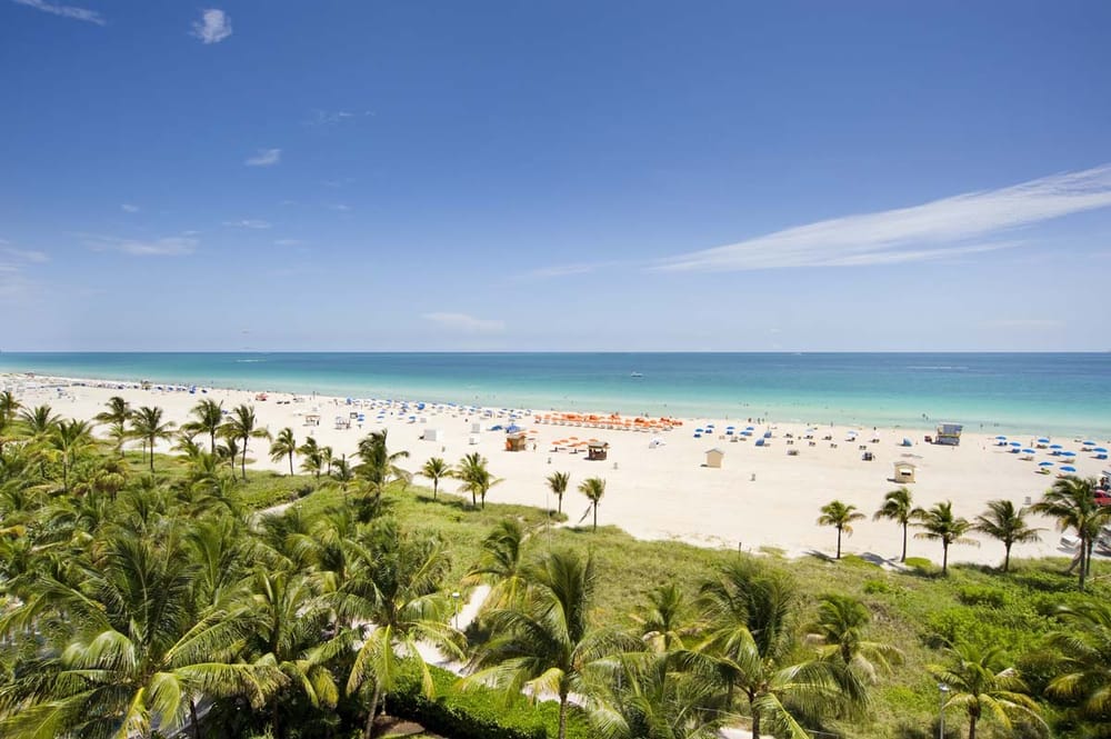 Photo of Alexandra - Miami Beach