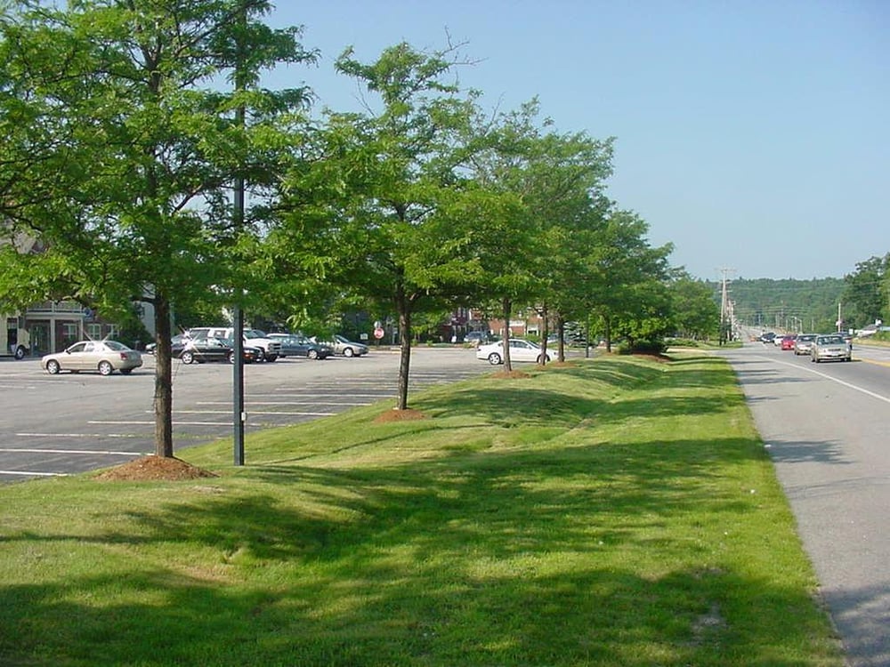 Photo of Tiptons Lawn and Landscaping
