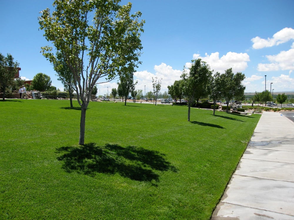 Photo of Tiptons Lawn and Landscaping