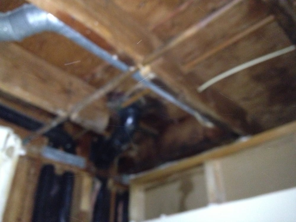 Photo of Left Coast Restoration