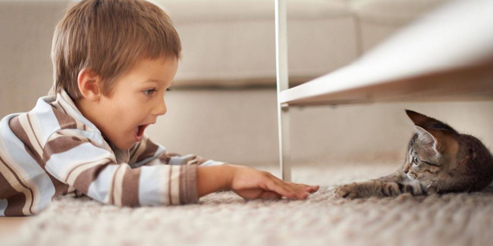 Photo of Apex Cleaning Services