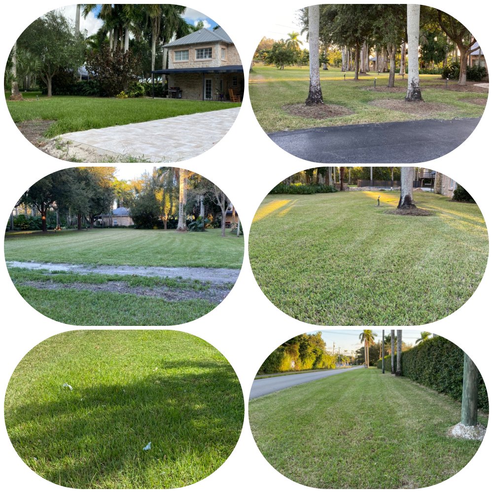 Photo of Lush Greenery Landscaping