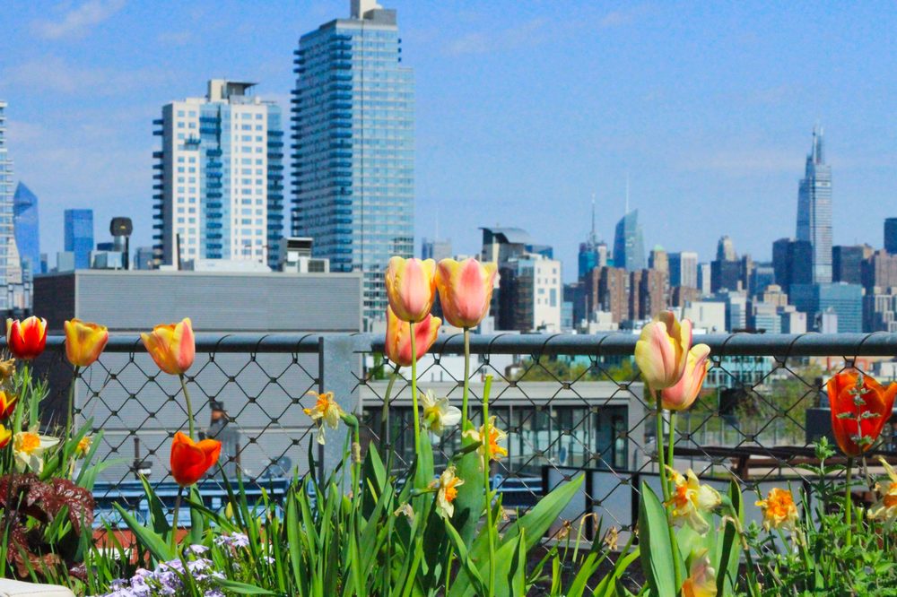 Photo of Outside Space NYC