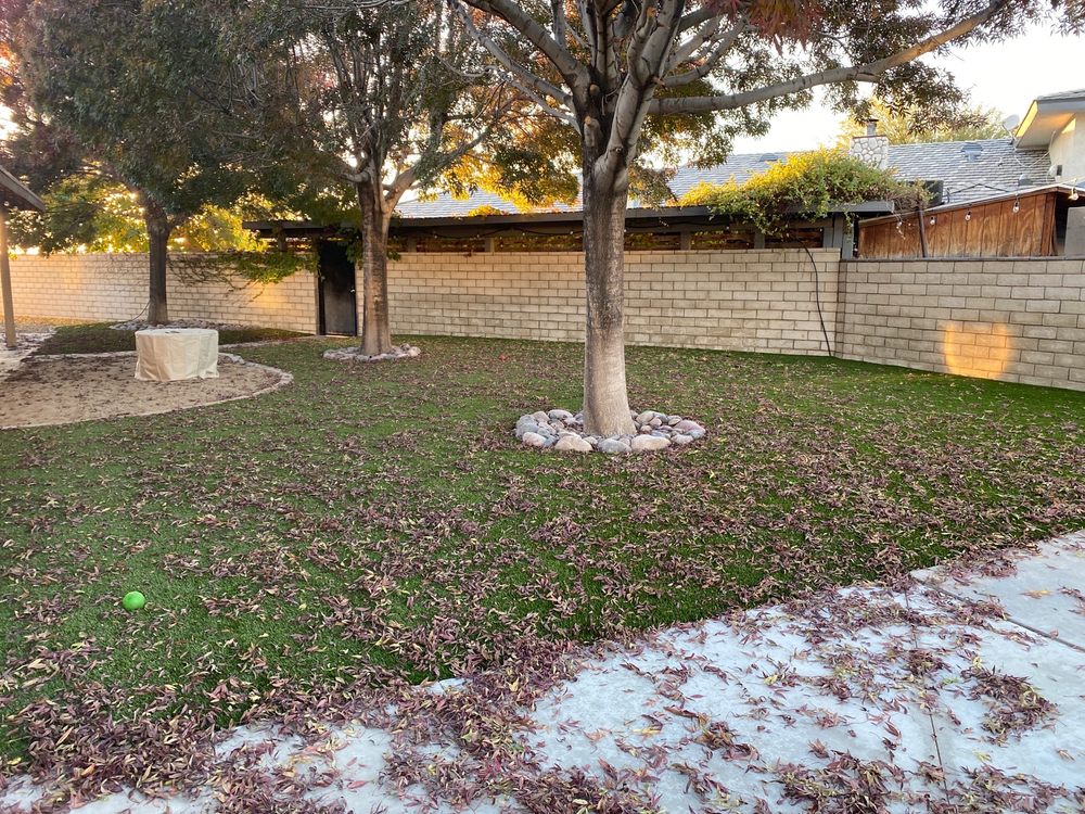 Photo of Mojave Curb and Turf