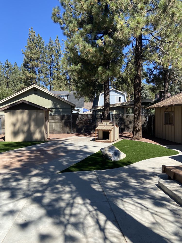 Photo of Mojave Curb and Turf