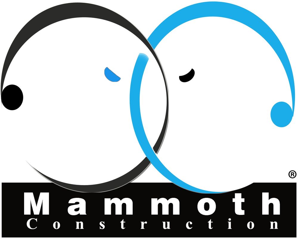 Photo of Mammoth Construction