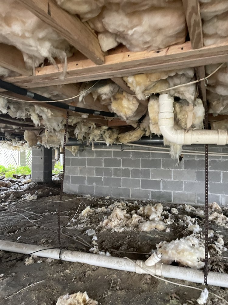 Photo of Crawlspace ER