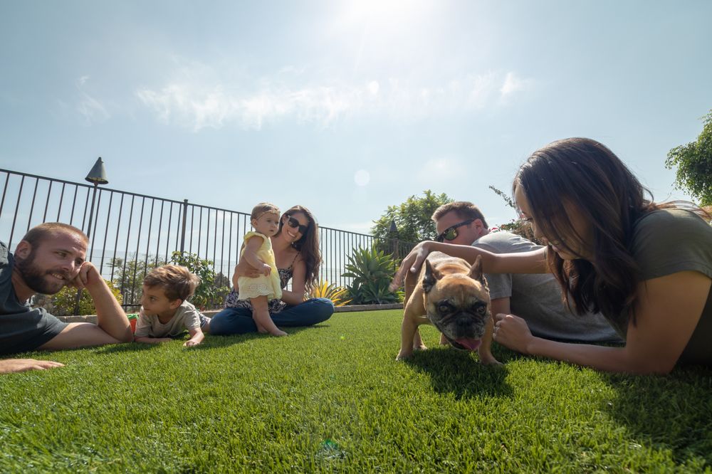 Photo of US Turf
