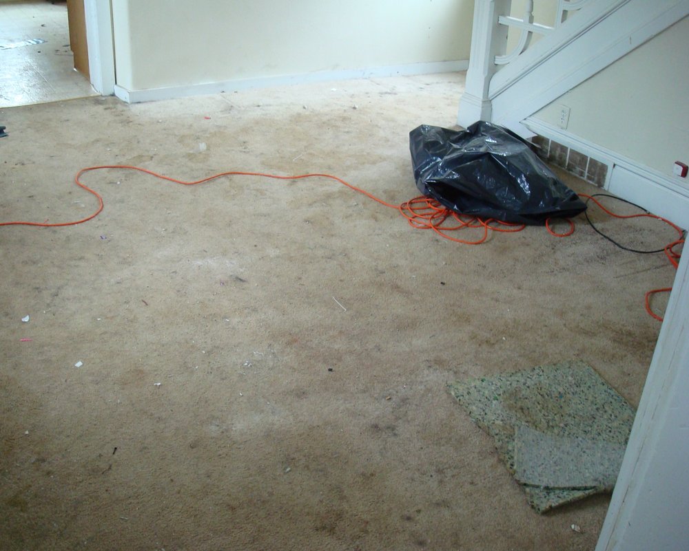 Photo of Complete Carpet Care
