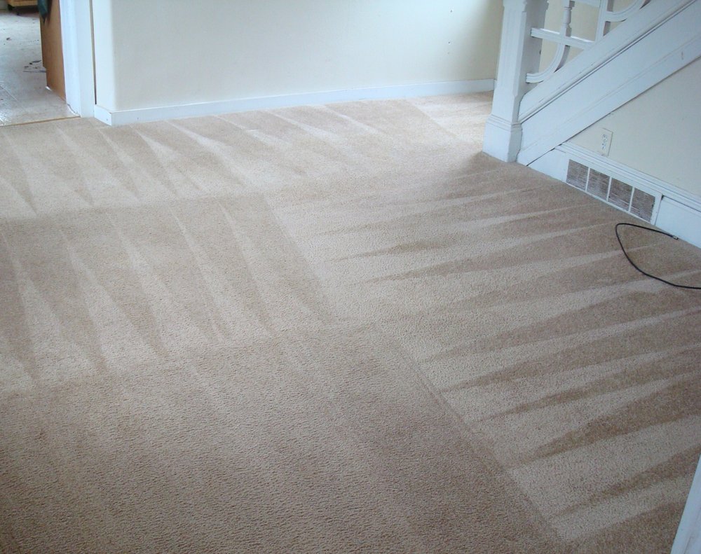 Photo of Complete Carpet Care