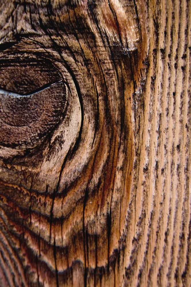 Photo of Neca Hardwood Floors