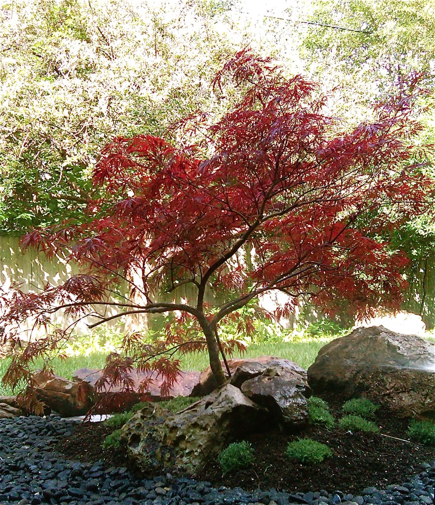 Photo of Ethos Landscape & Design