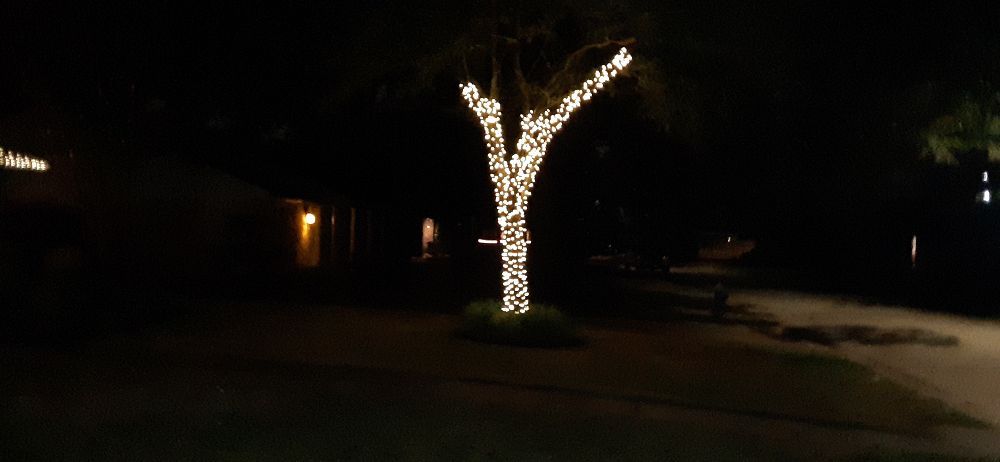 Photo of Christmas Lights and Decore of Houston