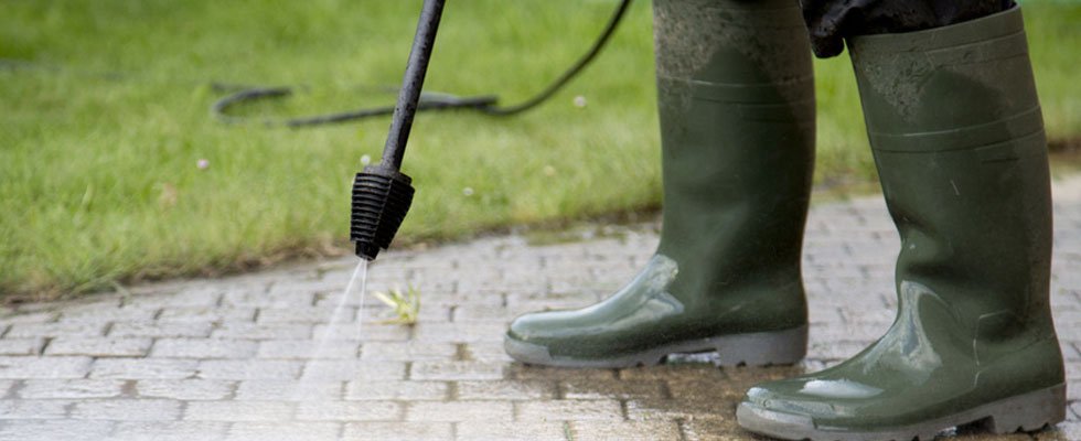 Photo of Ace Home Cleaning
