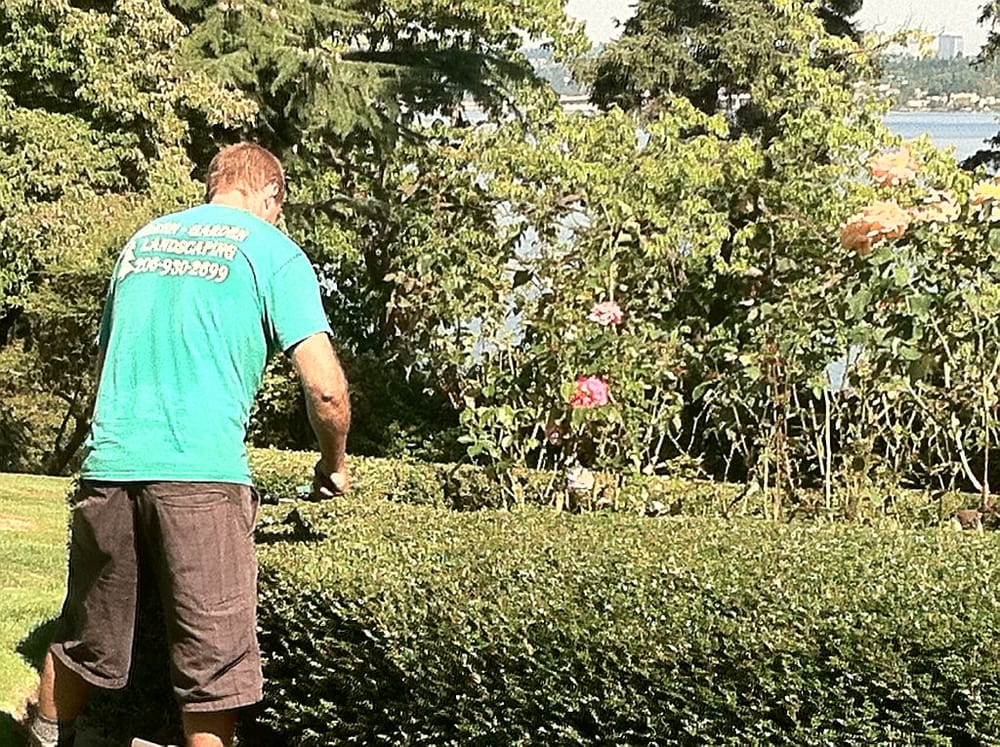 Photo of Green Garden Landscaping
