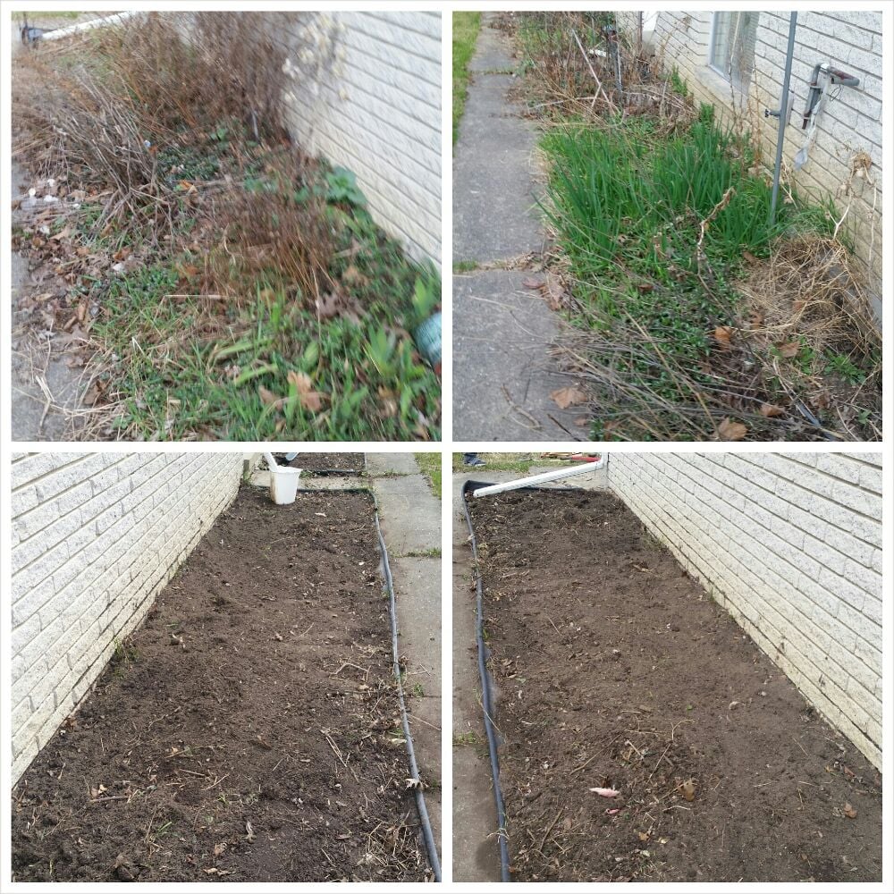 Photo of Triumph Landscaping, LLC