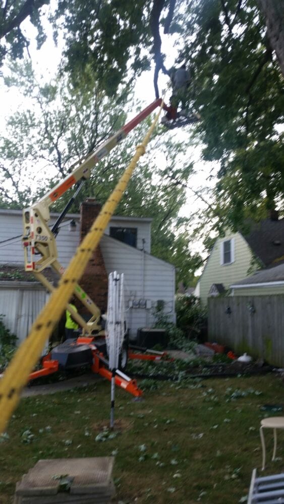 Photo of Triumph Landscaping, LLC