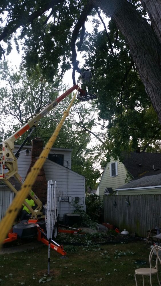 Photo of Triumph Landscaping, LLC