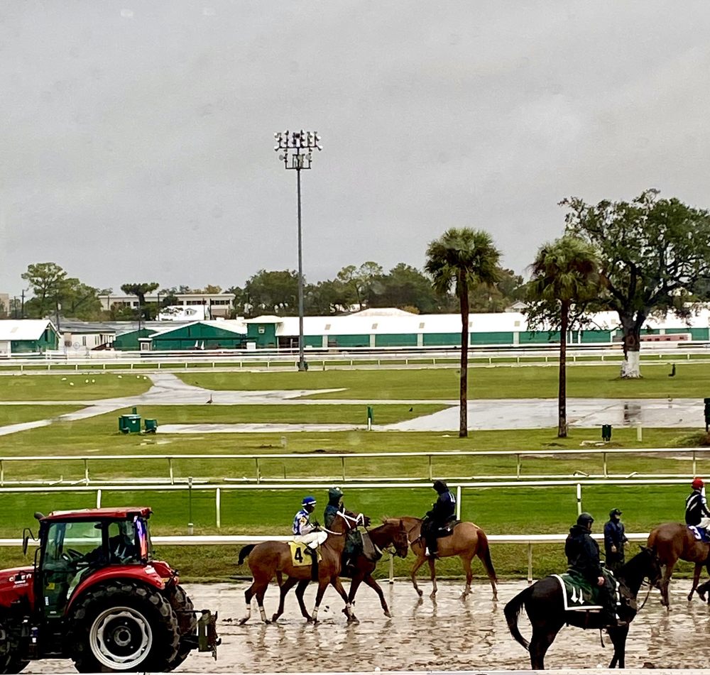 Photo of Fair Grounds Race Course & Slots