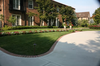 Photo of Vanice Lawn & Landscape